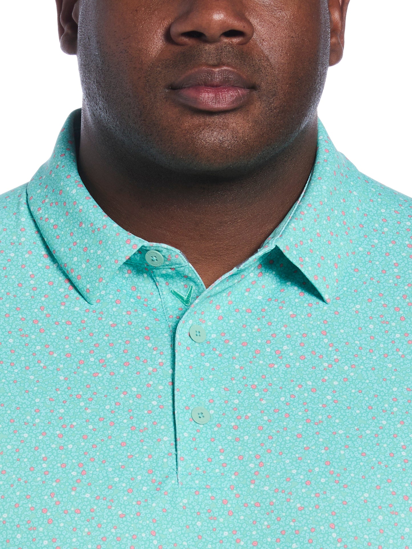 Big & Tall Micro Floral Print Polo