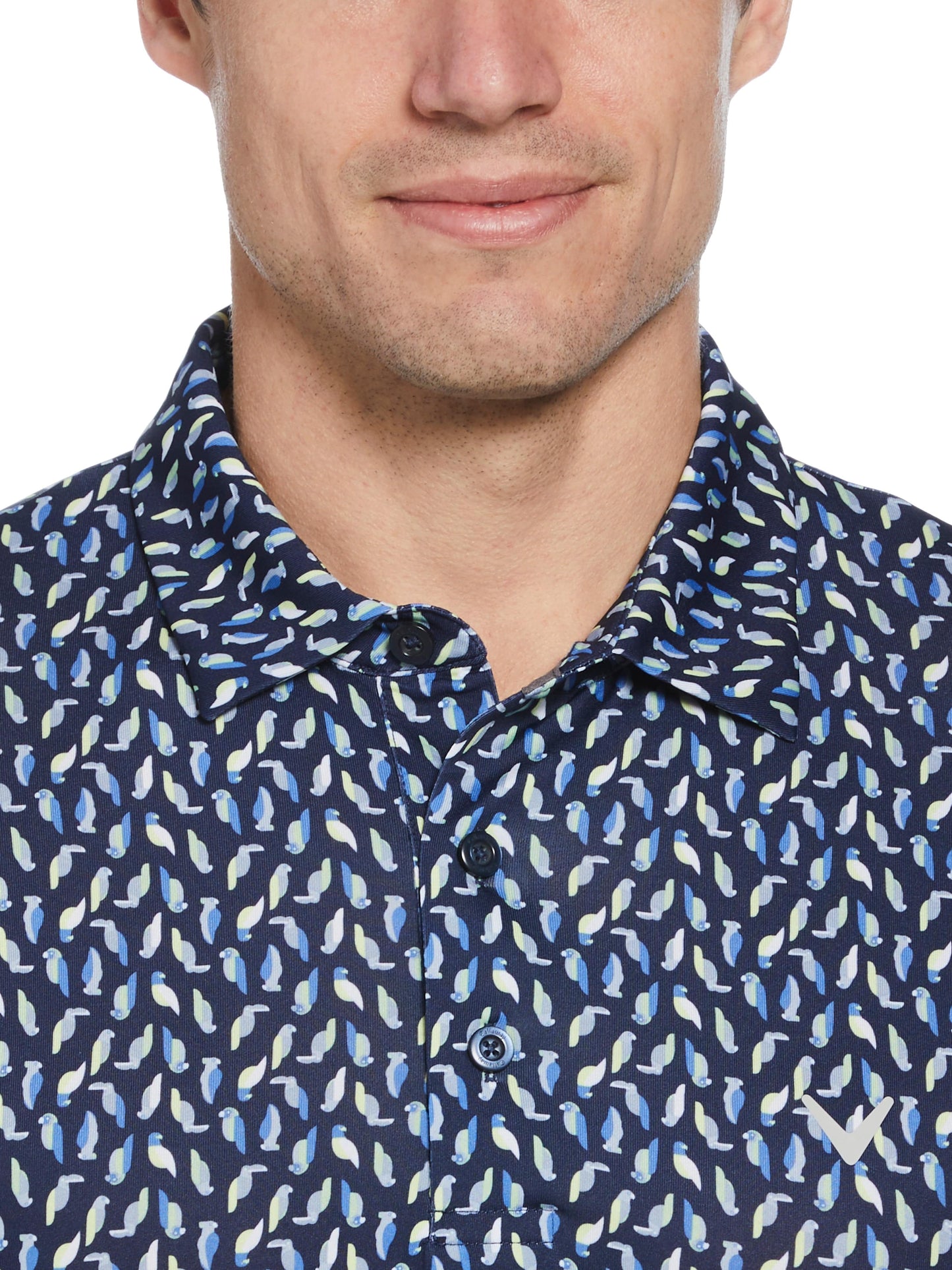 Mens Day All Over Birdie Print Polo